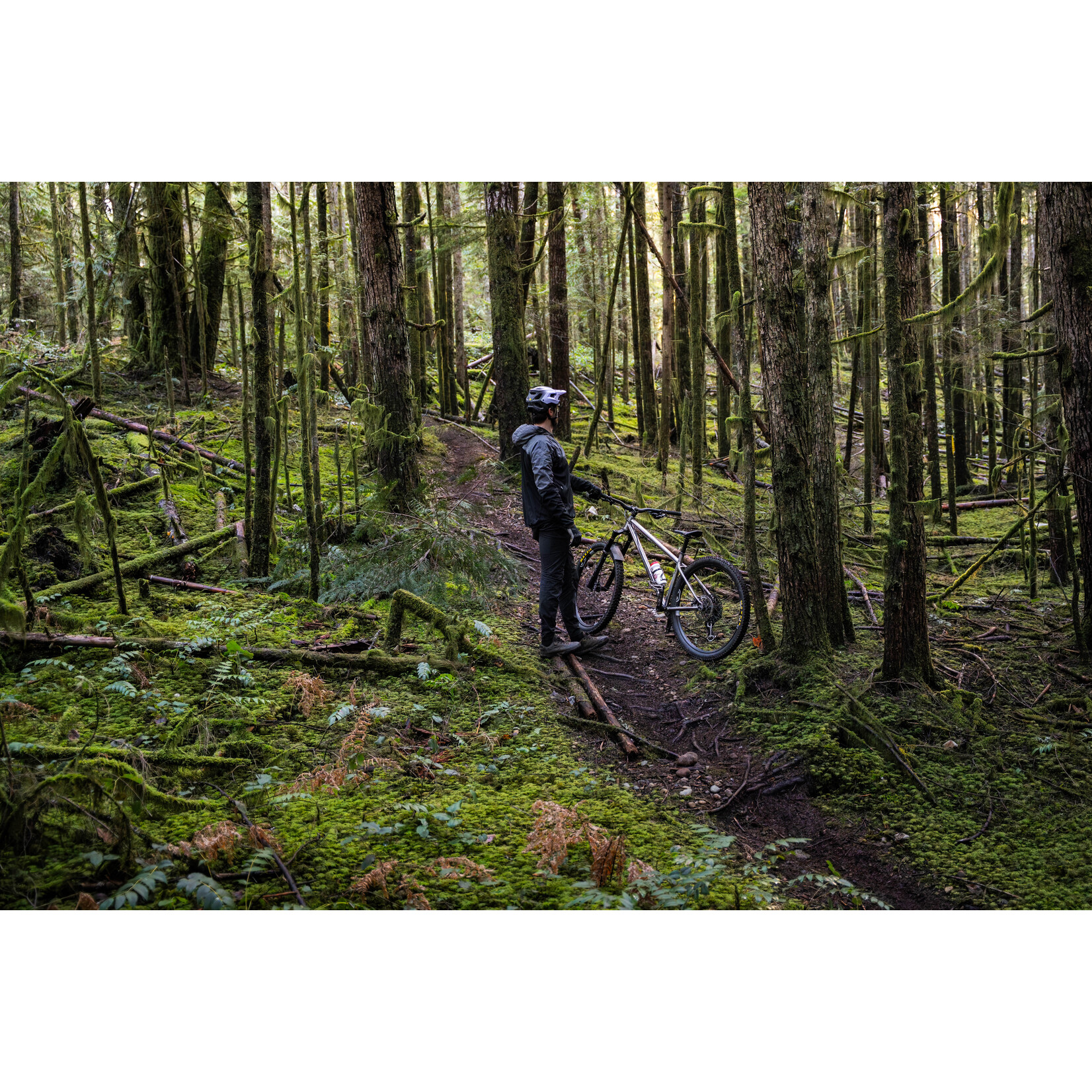 Forbidden Forbidden Heathen Framekit