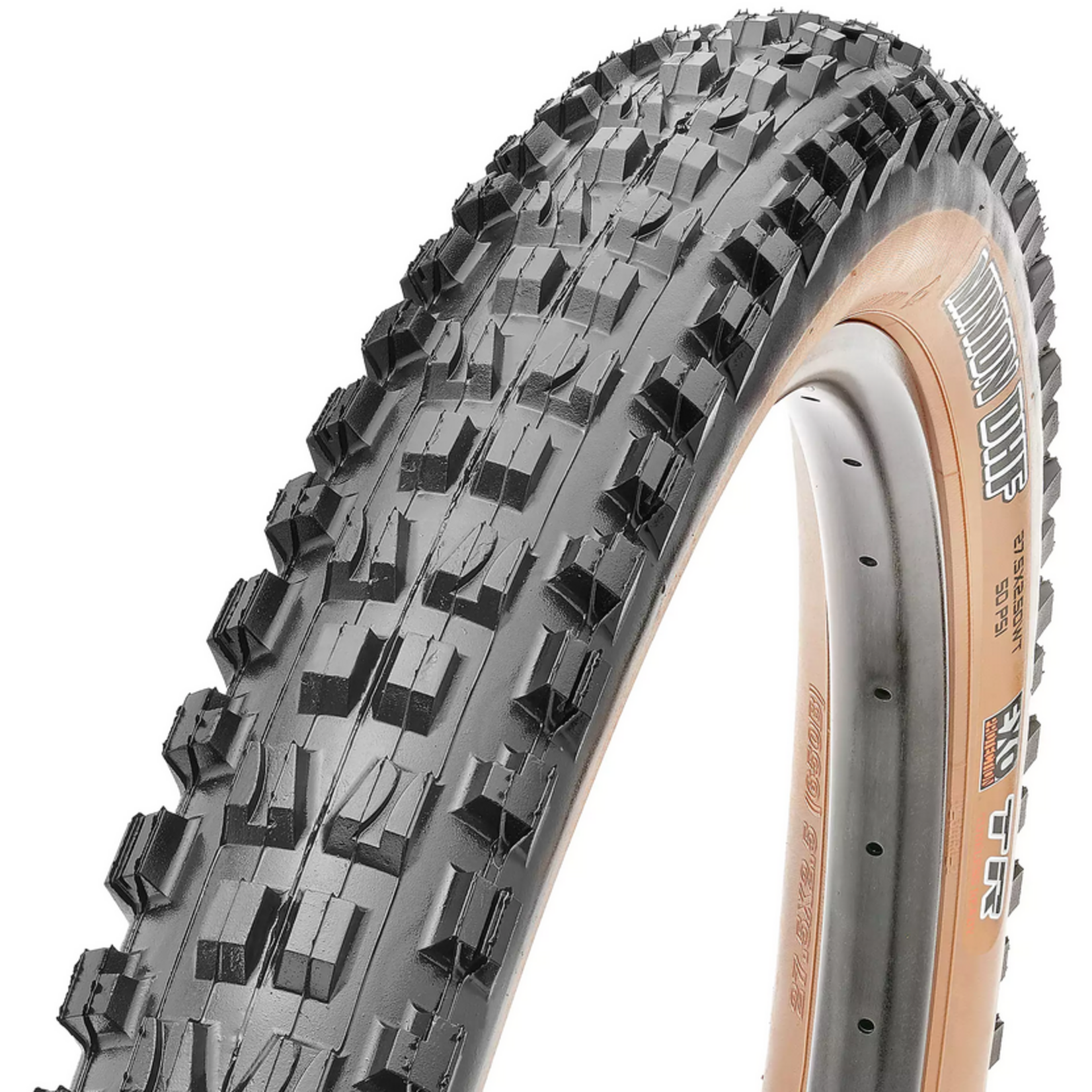 Maxxis Maxxis Minion DHF