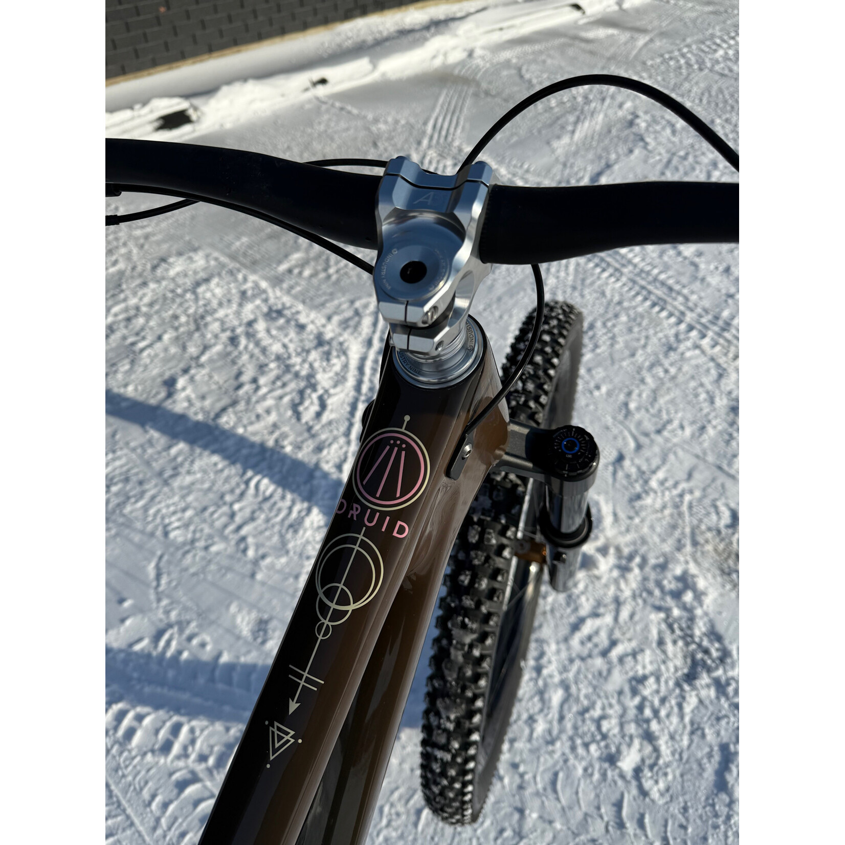 Forbidden Forbbiden Druid Custom Build Size 3