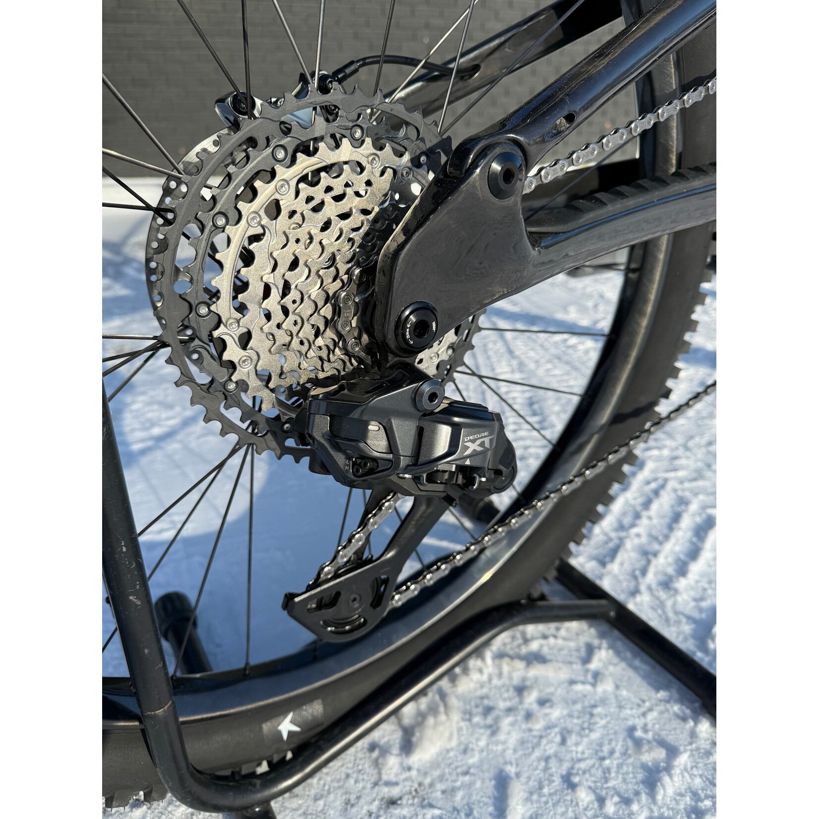 Forbidden Forbbiden Druid Custom Build Size 3