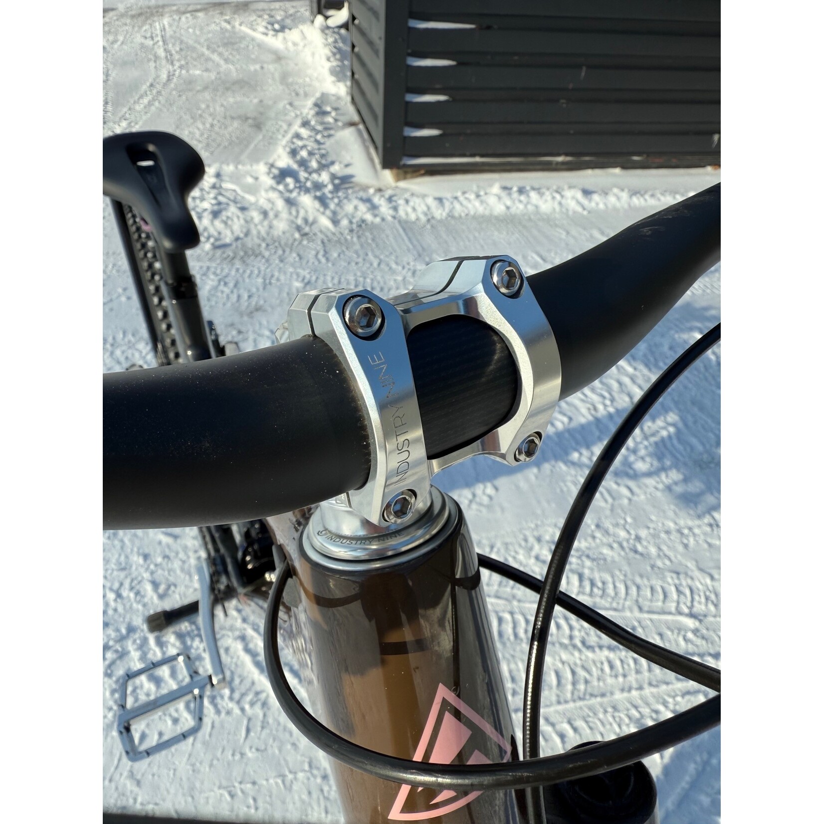 Forbidden Forbbiden Druid Custom Build Size 3