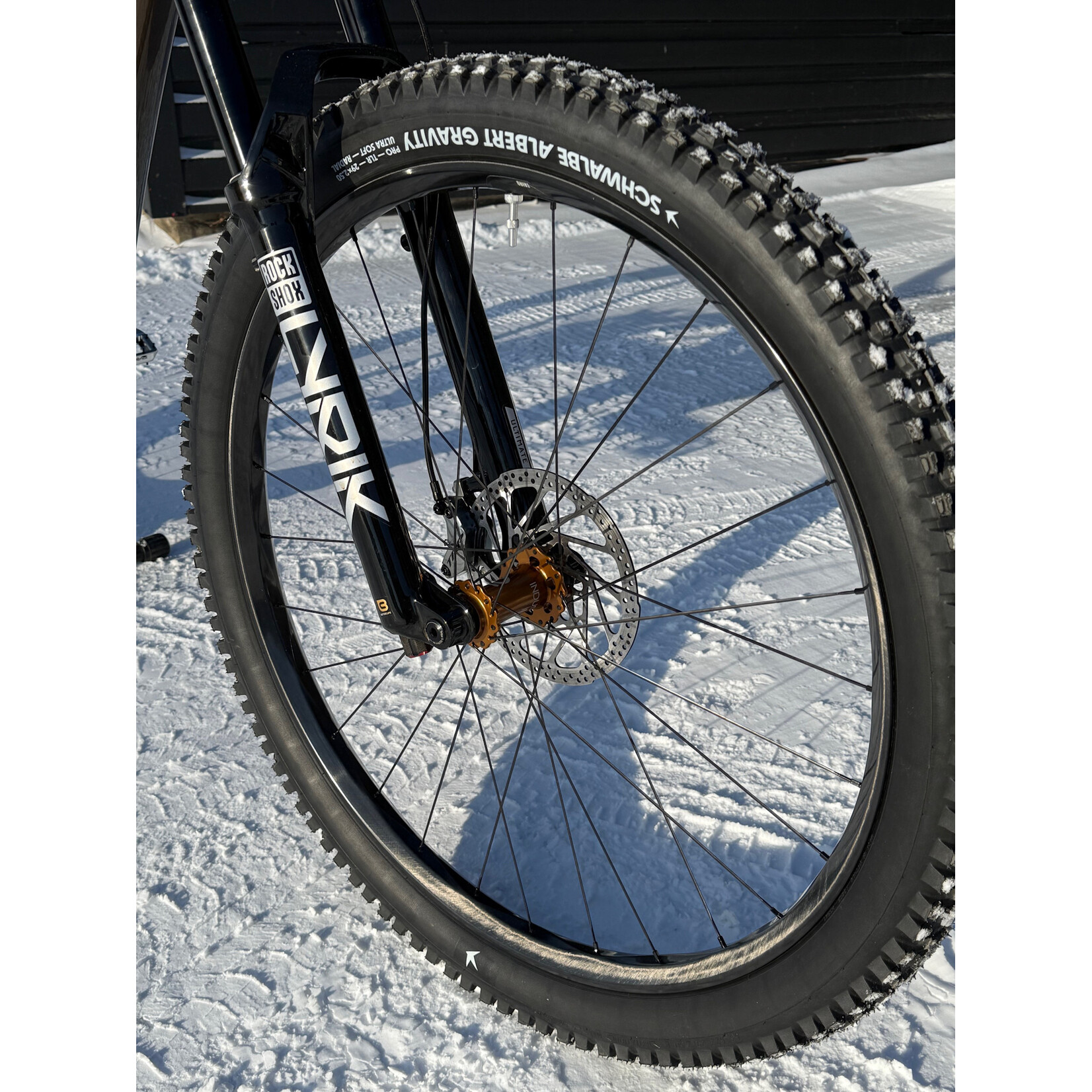 Forbidden Forbbiden Druid Custom Build Size 3