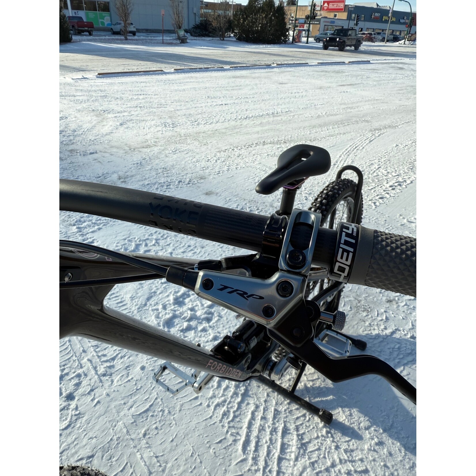 Forbidden Forbbiden Druid Custom Build Size 3