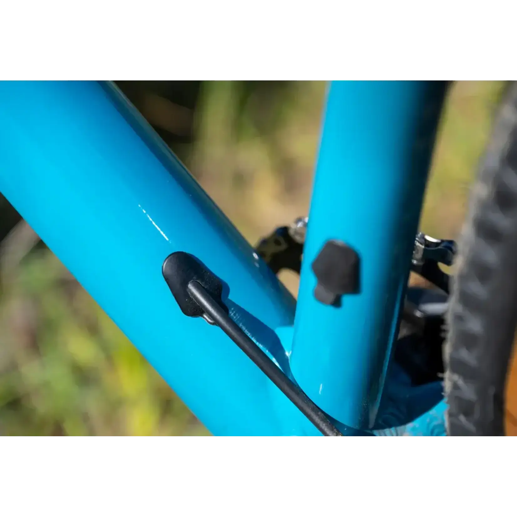 Marin Bobcat Trail 4