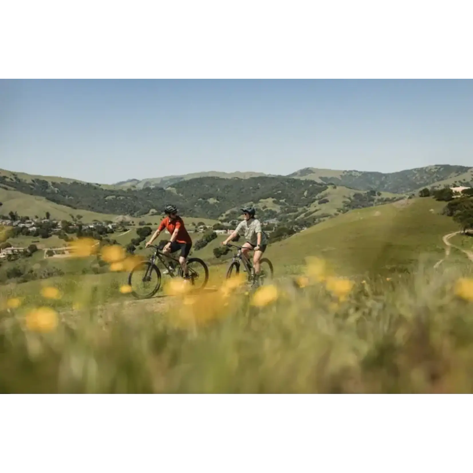 Marin Marin Bolinas Ridge 2