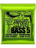 Ernie Ball Ernie Ball Regular Slinky Five String Bass 45-130