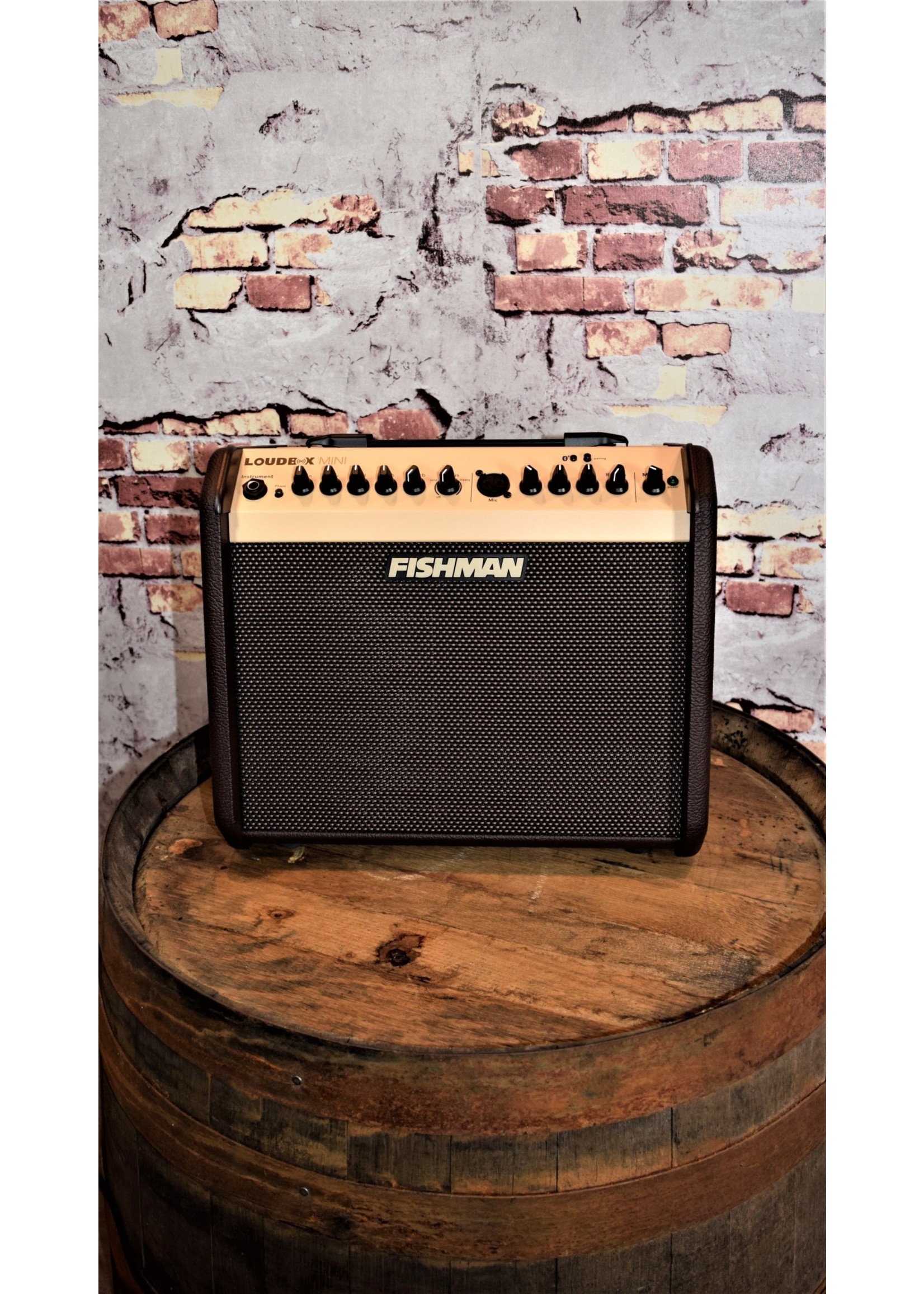 Fishman Fishman Pro-LBT 500 Loudbox Mini with Bluetooth