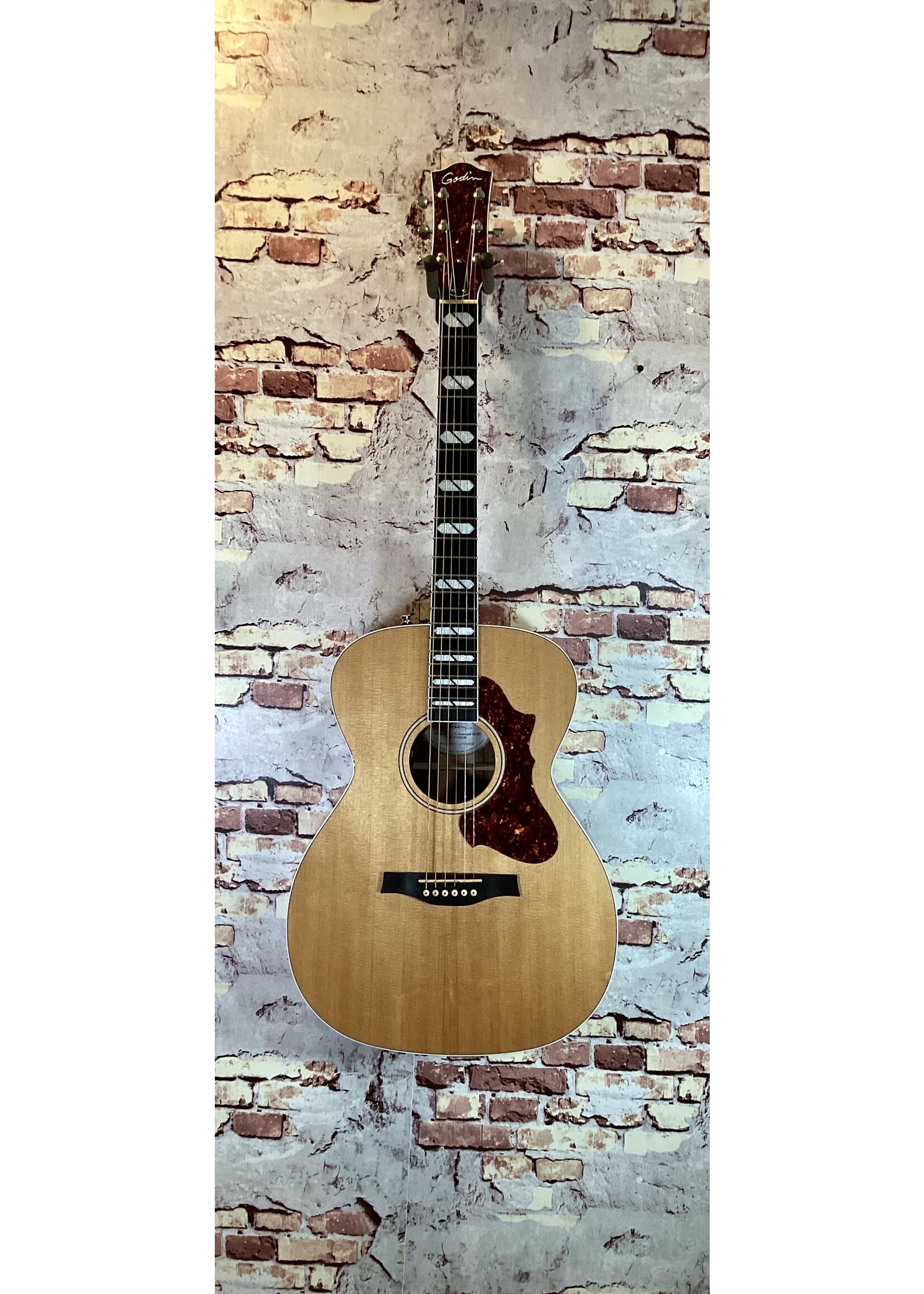 Godin Godin Fairmount CH LTD Rosewood HG EQ