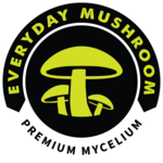 Everyday Mushroom