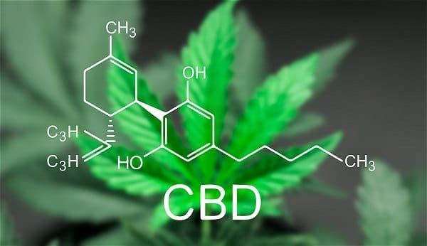 CBD: The Clinical Catalyst for Ending Opioid Addiction & Easing Common Medical Issues
