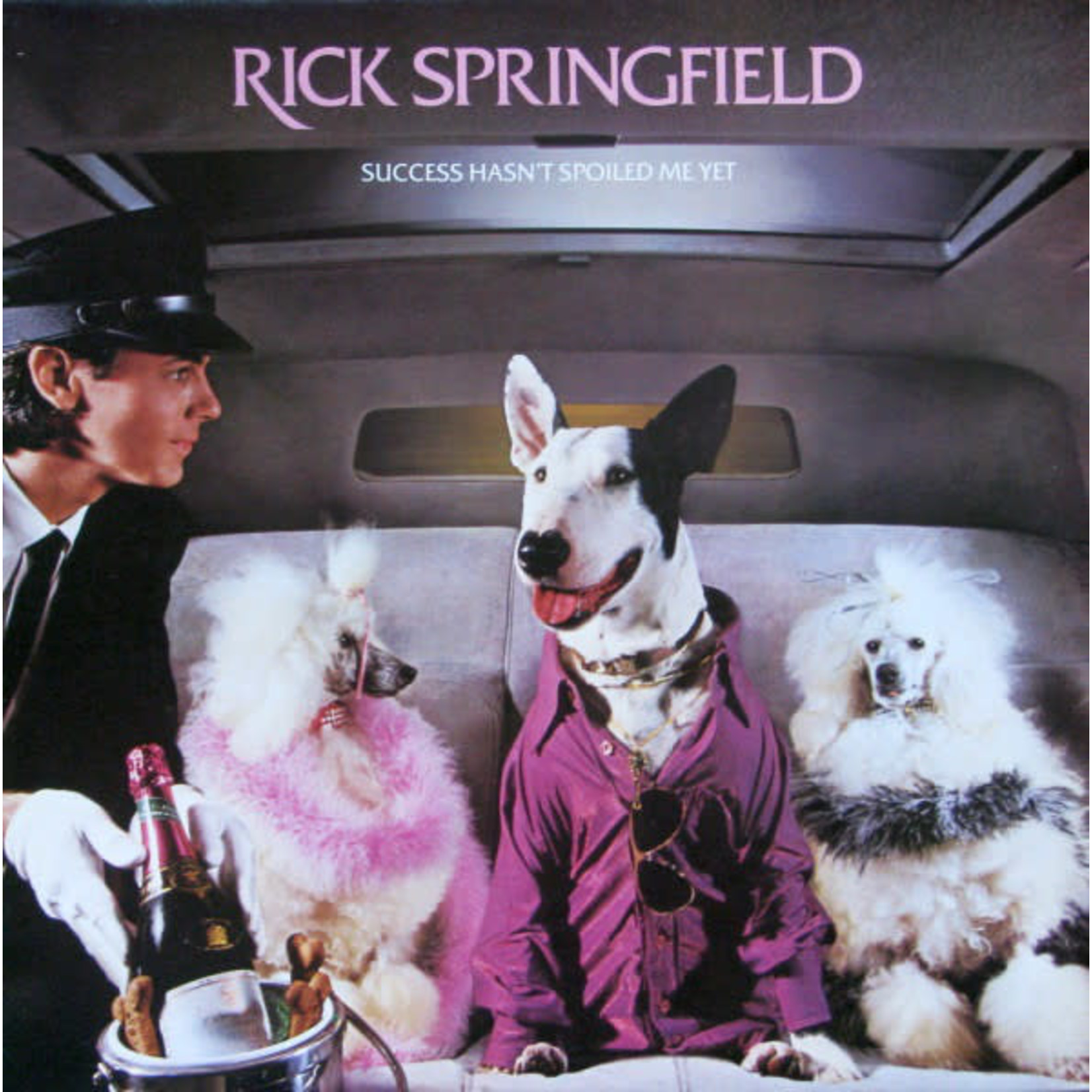 Rick Springfield Rick Springfield ‎– Success Hasn't Spoiled Me Yet  (VG, 1982, LP, RCA Victor – AFL1-4125, Canada)
