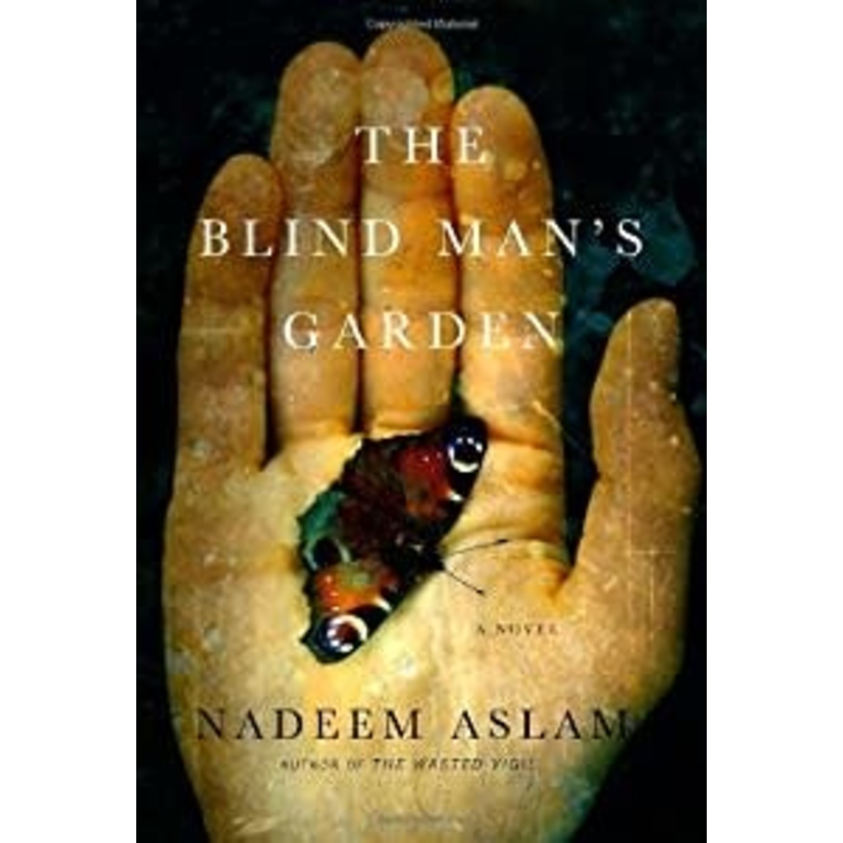Aslam, Nadeem Aslam, Nadeem - The Blind Man's Garden (Hardcover)