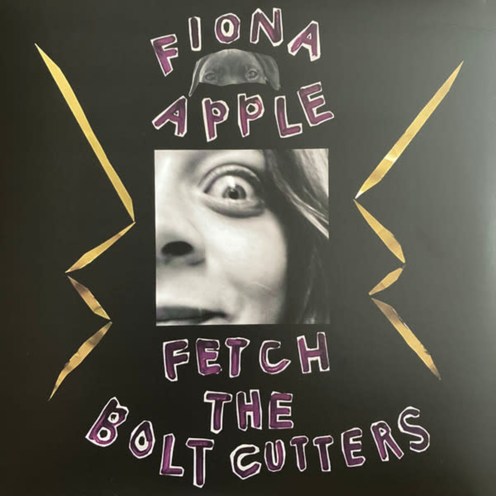 Fiona Apple Fiona Apple – Fetch The Bolt Cutters (New, 2LP 180g, 2020)