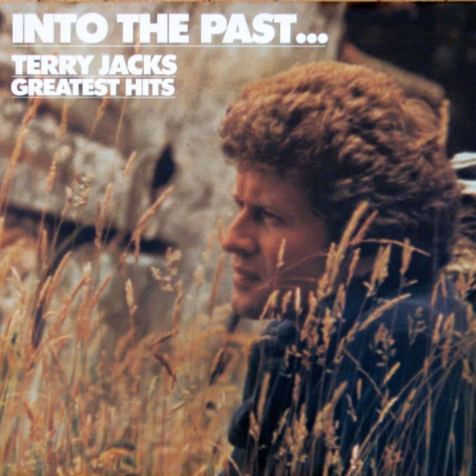 Terry Jacks Terry Jacks – Into The Past...Terry Jacks Greatest Hits (G+, 1982, LP, A&M Records – SP 69881)