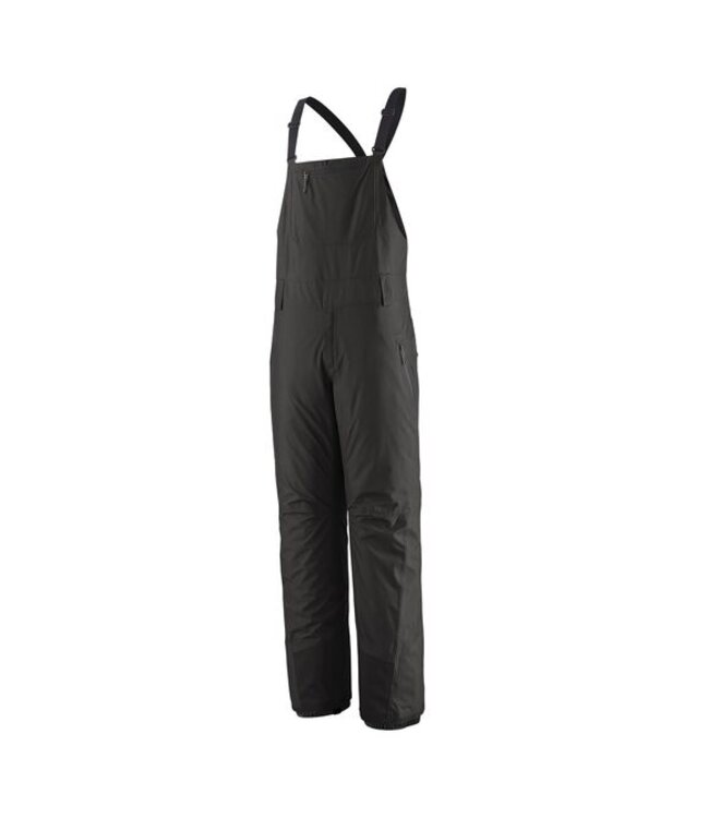 Patagonia Men's Powder Town Bibs