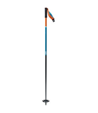 2023 Swix The Stick Alpine Ski Pole