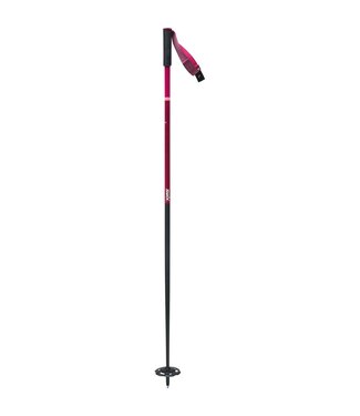 2023 Swix The Stick Alpine Ski Pole