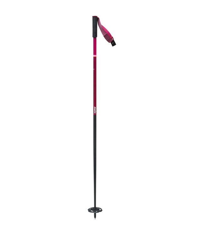 2023 Swix The Stick Alpine Ski Pole