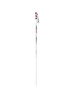 2023 Swix W1 Alpine Ski Pole
