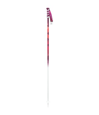 2023 Swix W2 Women's Alpine Ski Poles