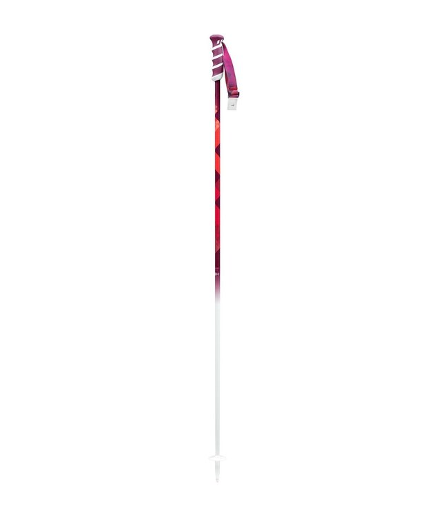 2023 Swix W2 Women's Alpine Ski Poles