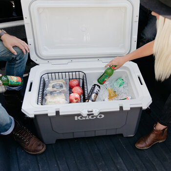 Igloo Coolers