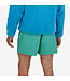 Patagonia Men's Baggies Shorts - 5in