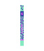 2025 Scott Kacy Women's Alpine Ski Poles