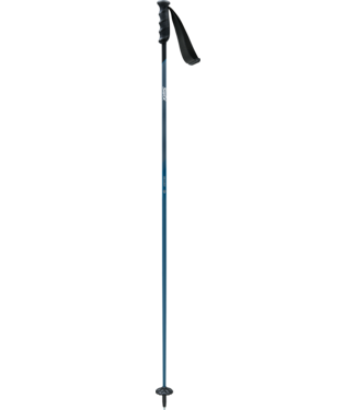 2024 Swix Excalibur Sea DD4 Alpine Ski Pole