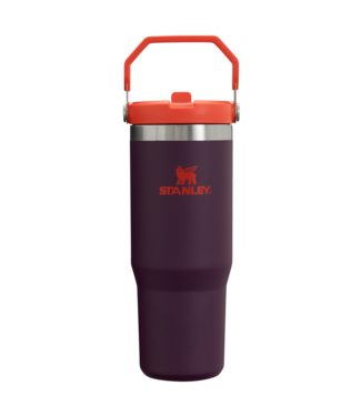 Stanley Stanley Iceflow Flip Straw Tumbler | 30 OZ