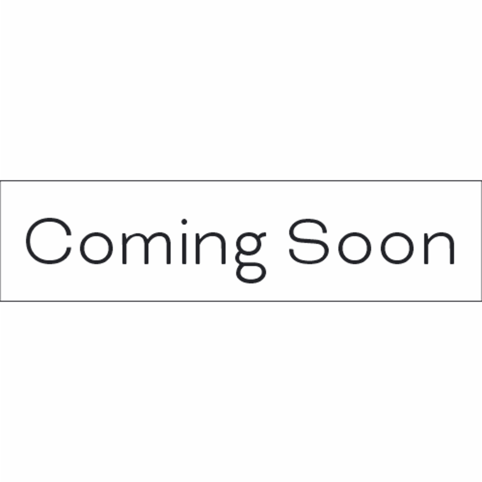 Economy Coming Soon Rider