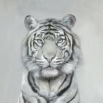 Snow Tiger Giclee-Truffle Frame- 40x40