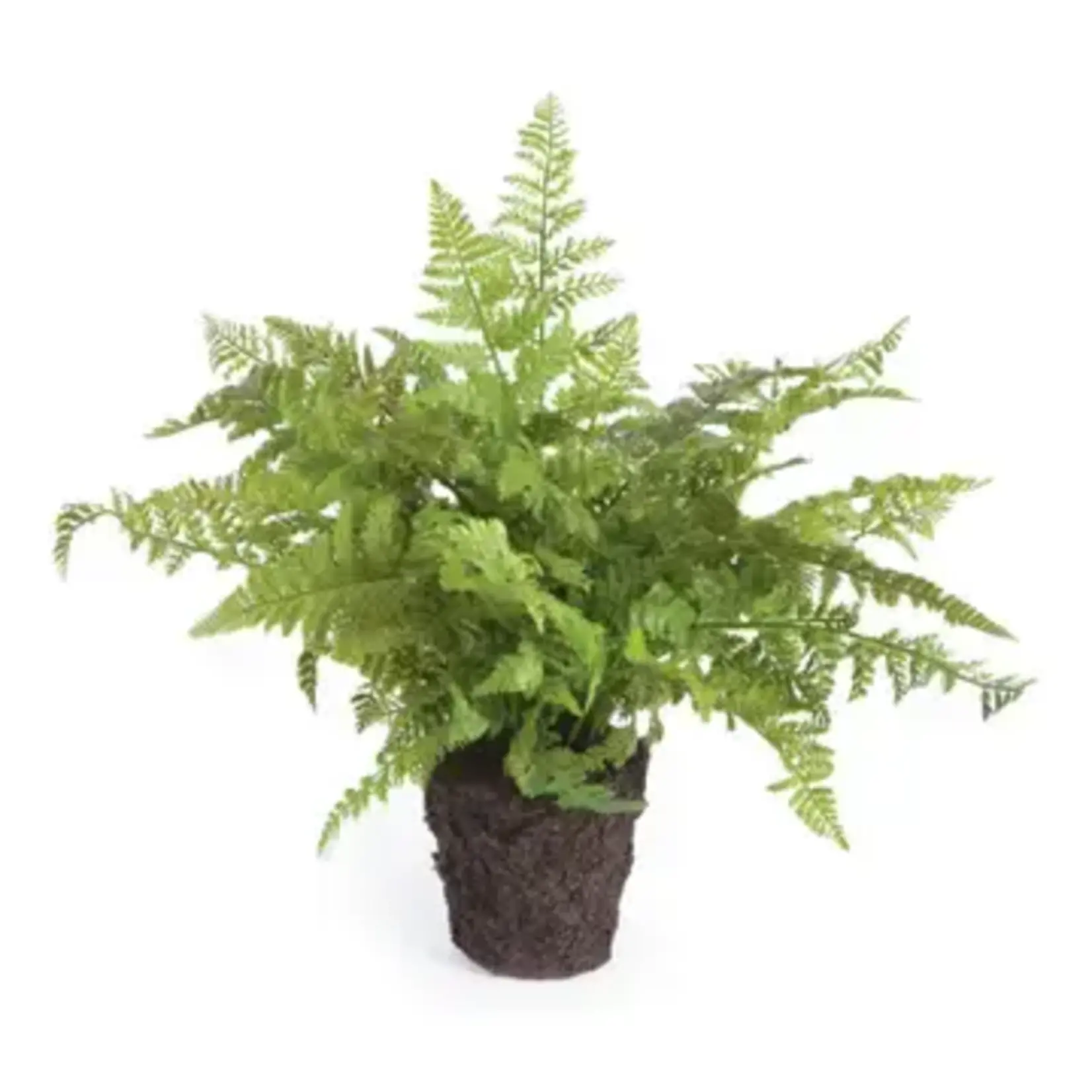 Soft Fern Drop-In 13"