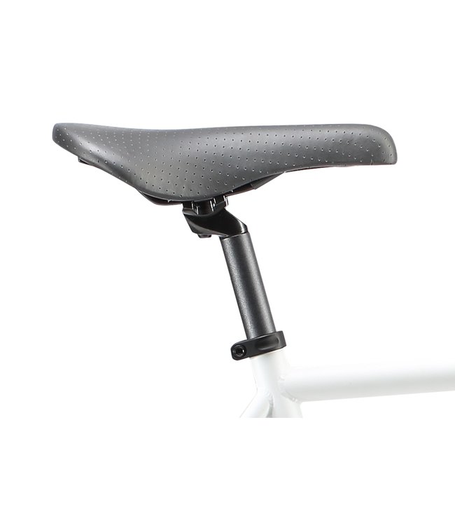 PURE CYCLE COASTER, M/54CM