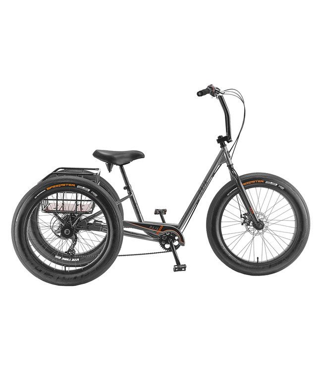 TRIKE SUN BAJA GREY
