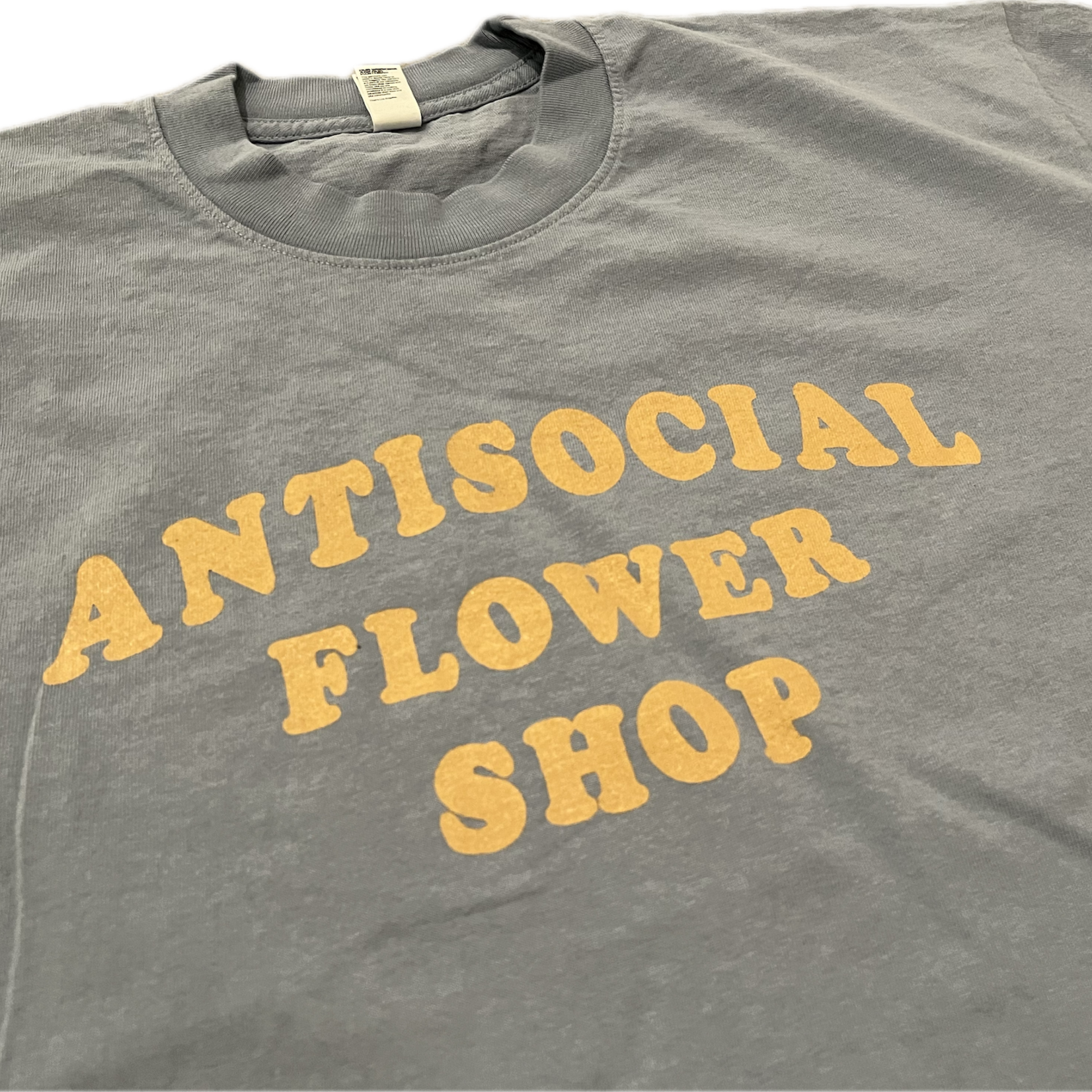 Antisocial Antisocial Flower Shop Tee - Clear Blue/Mushroom
