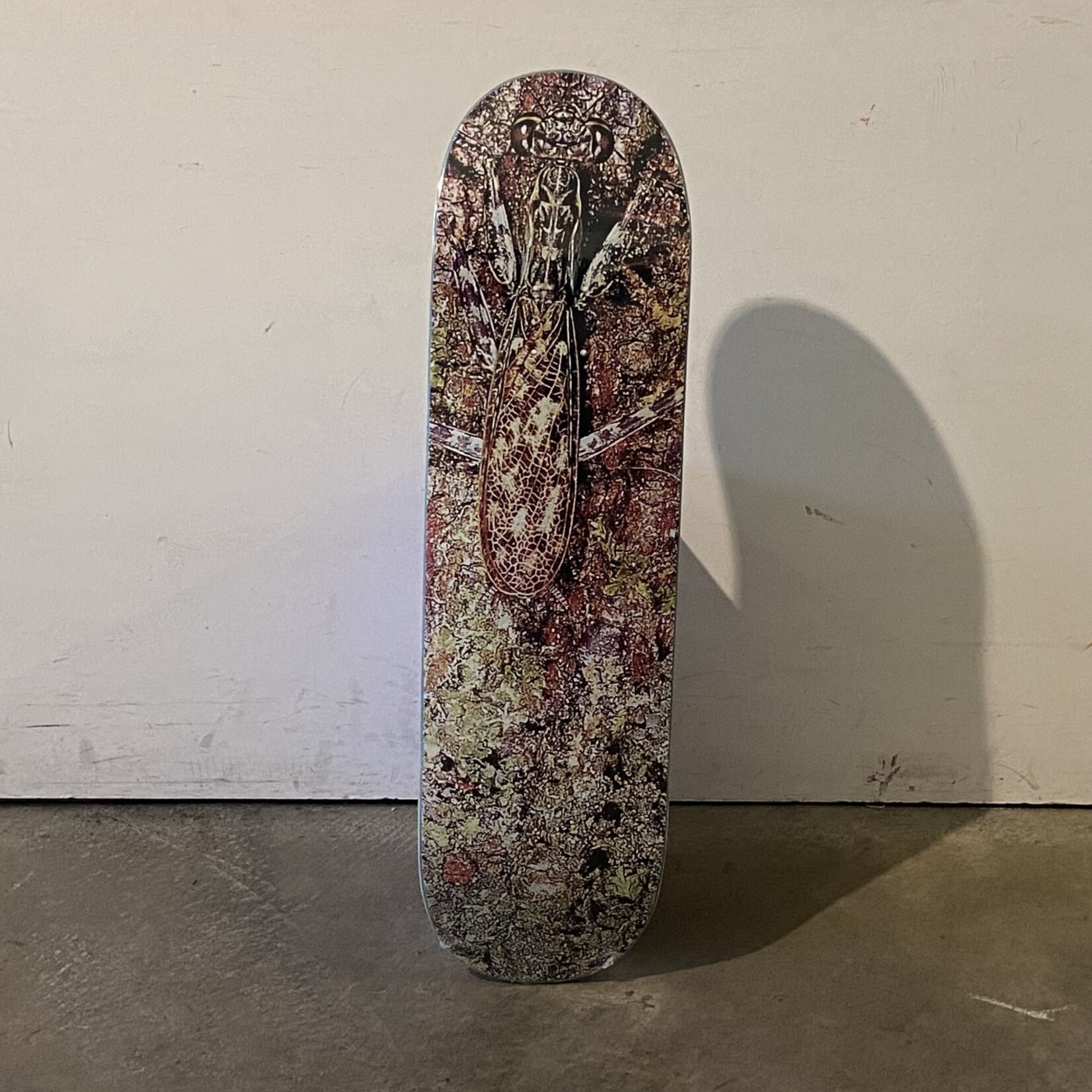Glue Glue Skateboard 8.625 - Cryptic Coloration 2