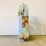 Studio Studio Skateboard 8.25 - Cat Book Curiosity