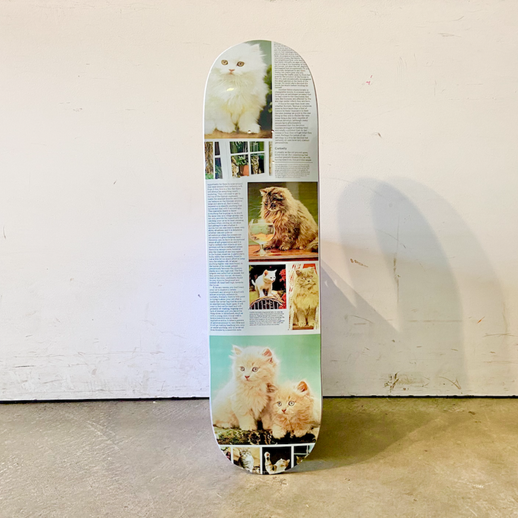 Studio Studio Skateboard 8.25 - Cat Book Curiosity
