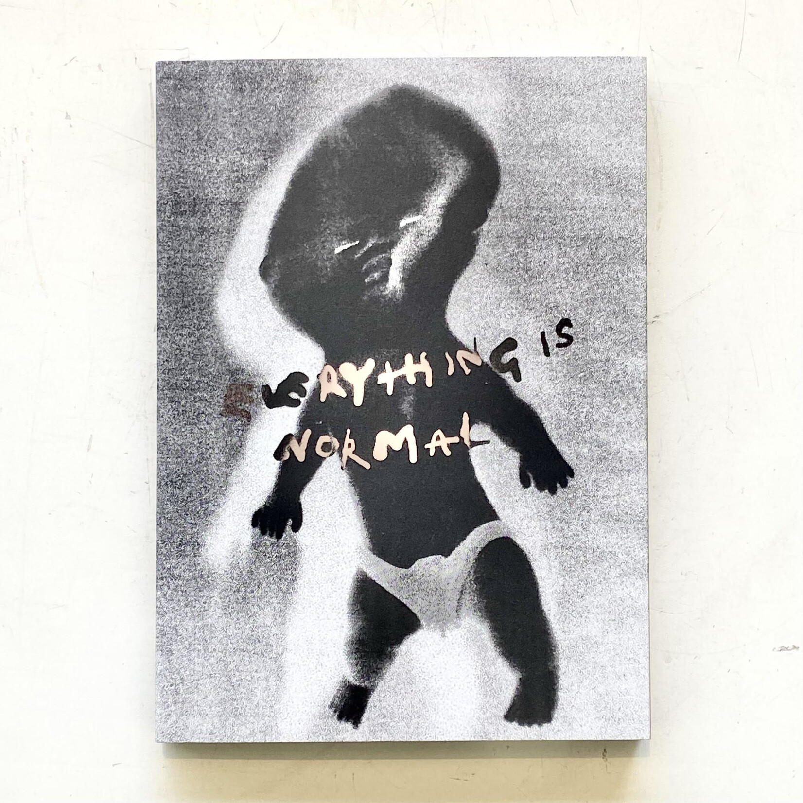 Polar Polar Everything Is Normal Book