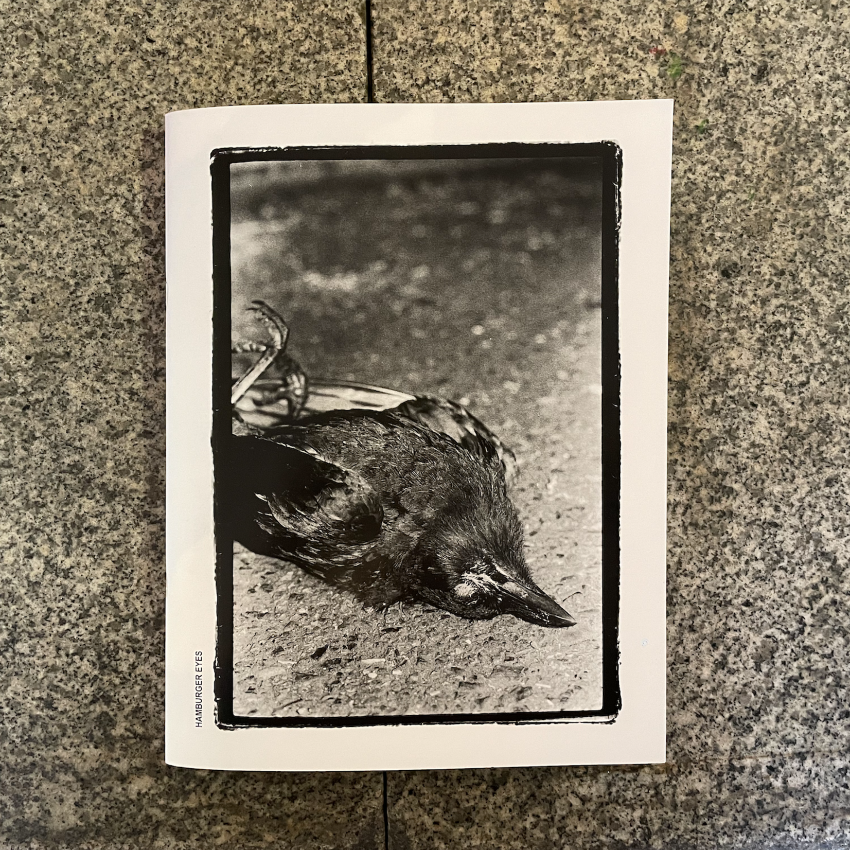 Hamburger Eyes #56 Photo Zine