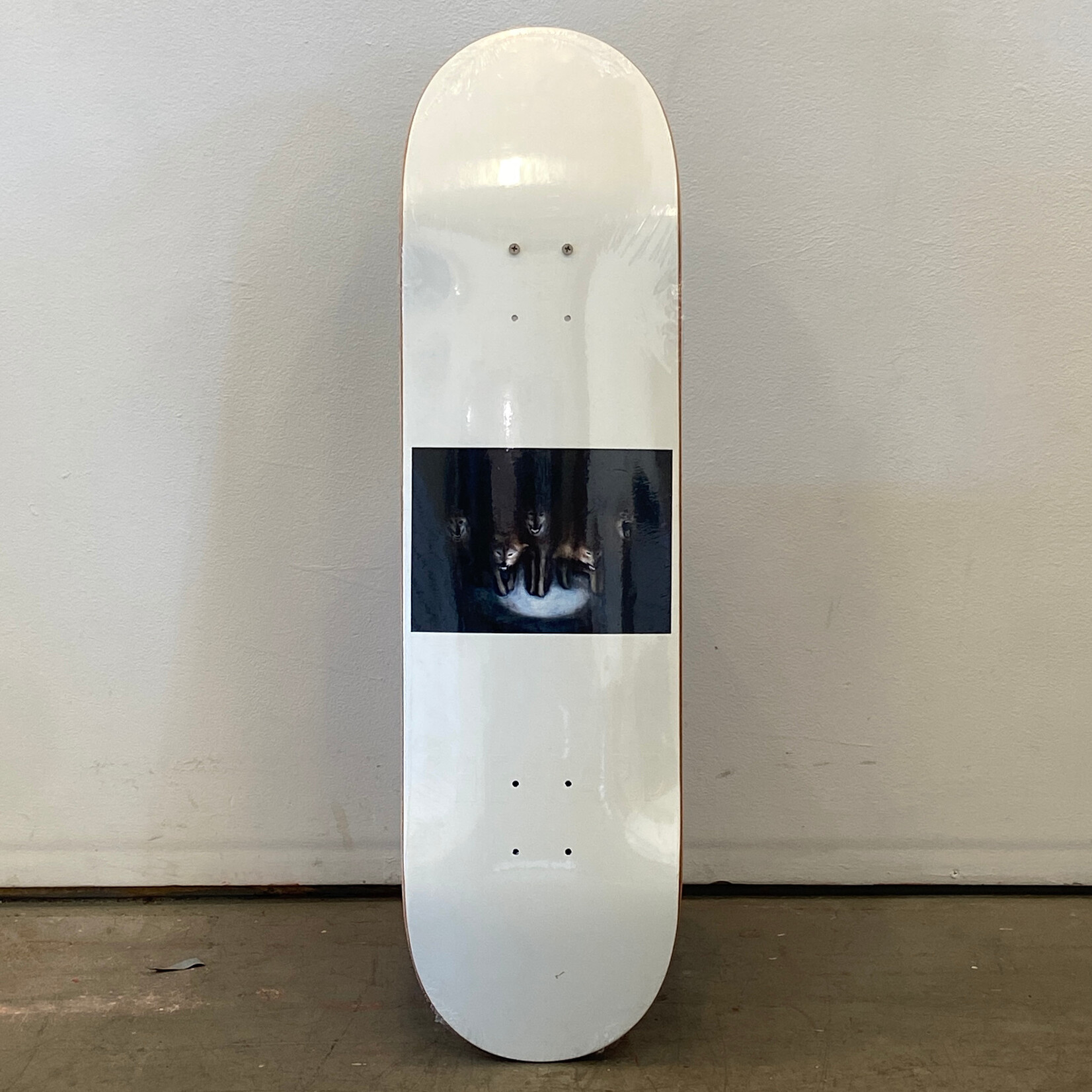 Jenny Jenny Skateboard 8.38 - Bradley Sheppard Pegasus