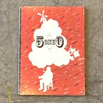 510 Skateboarding DVD