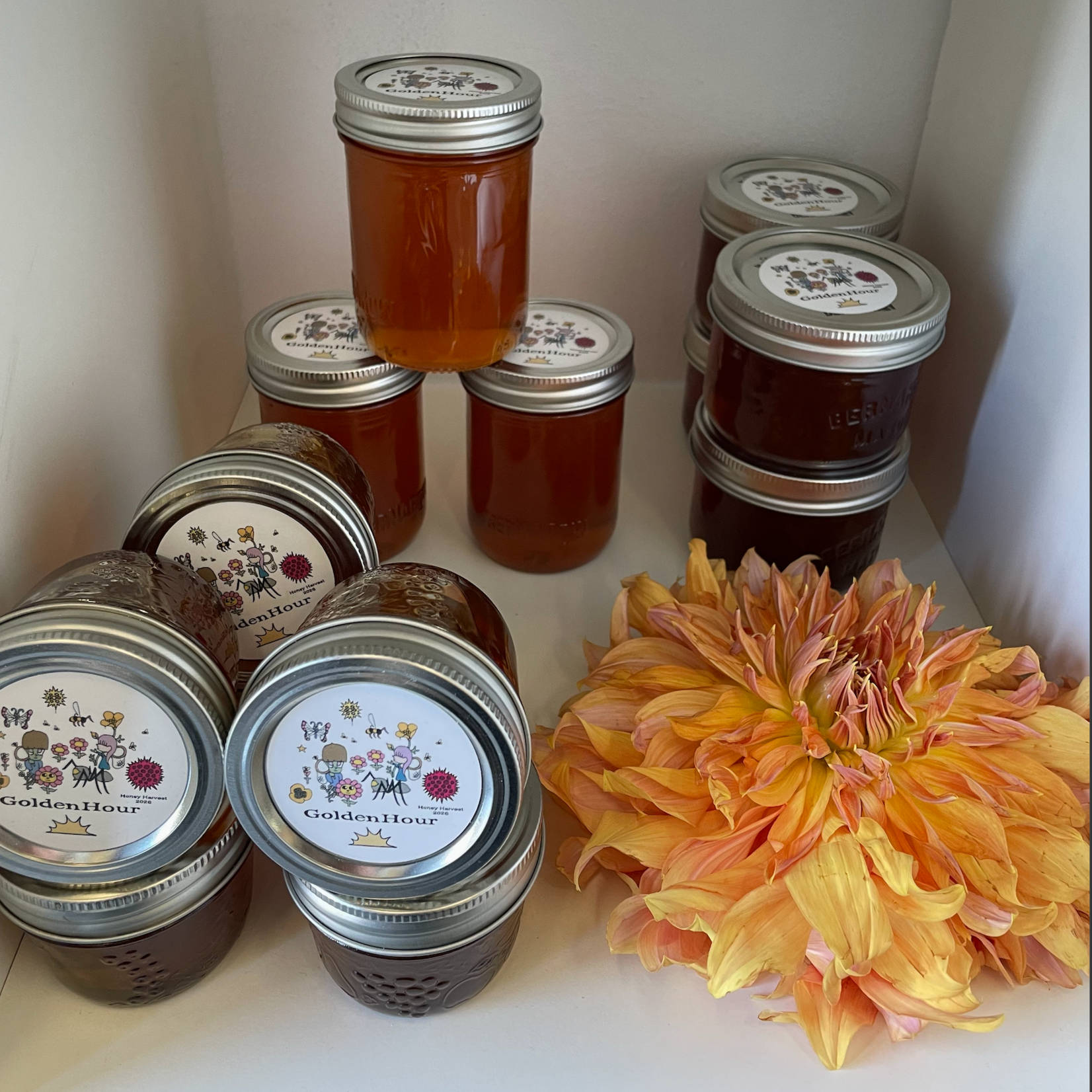Golden Hour Honey - Medium