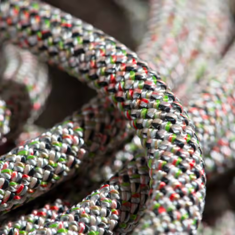 Mammut Corde d'escalade 9.5 Crag We Care