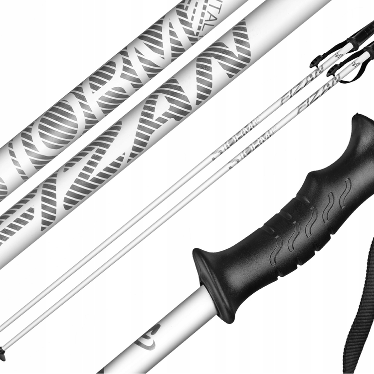 Fizan Bâtons de ski alpin Storm