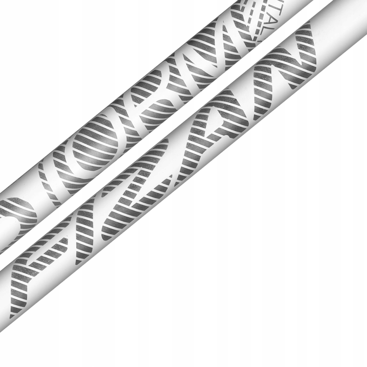 Fizan Bâtons de ski alpin Storm