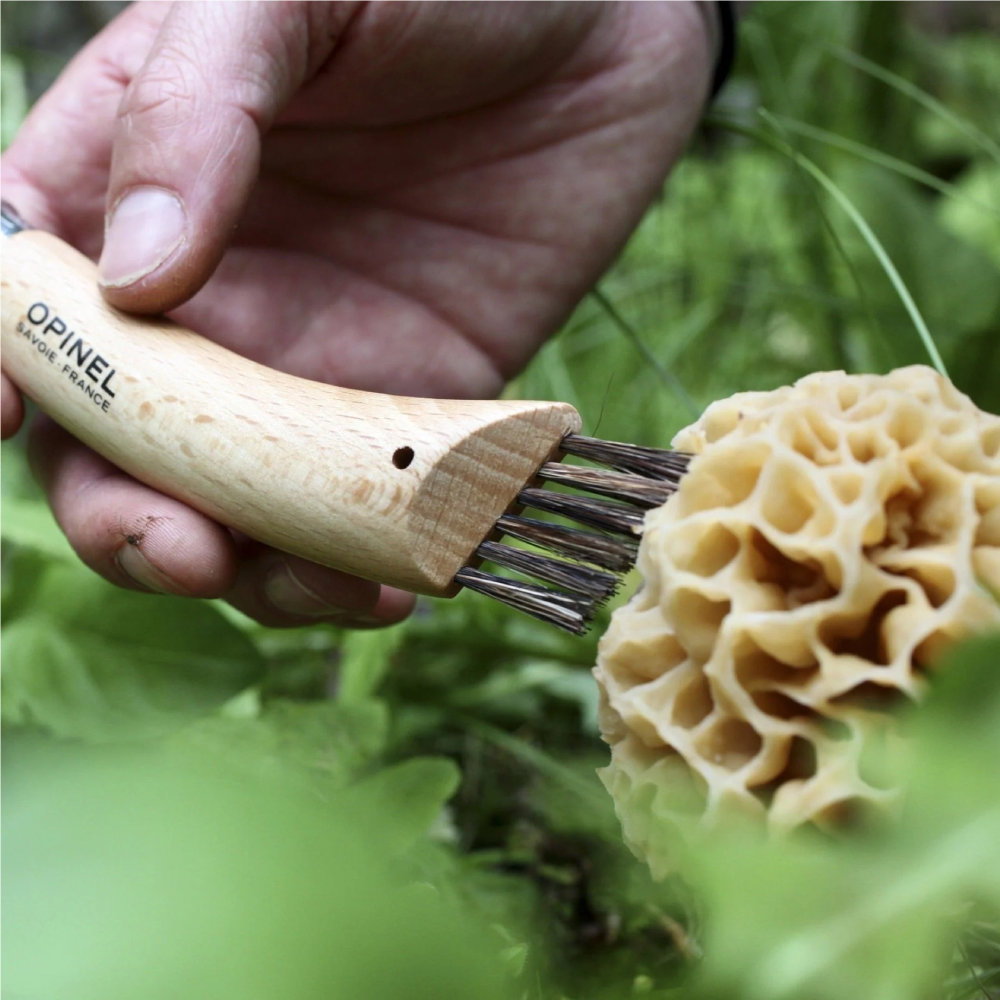 4 Couteaux à Champignons Pliables Avec Brosse Et Règle - Lame Incurvée Inox, Pour Cueillette Et Randonnée