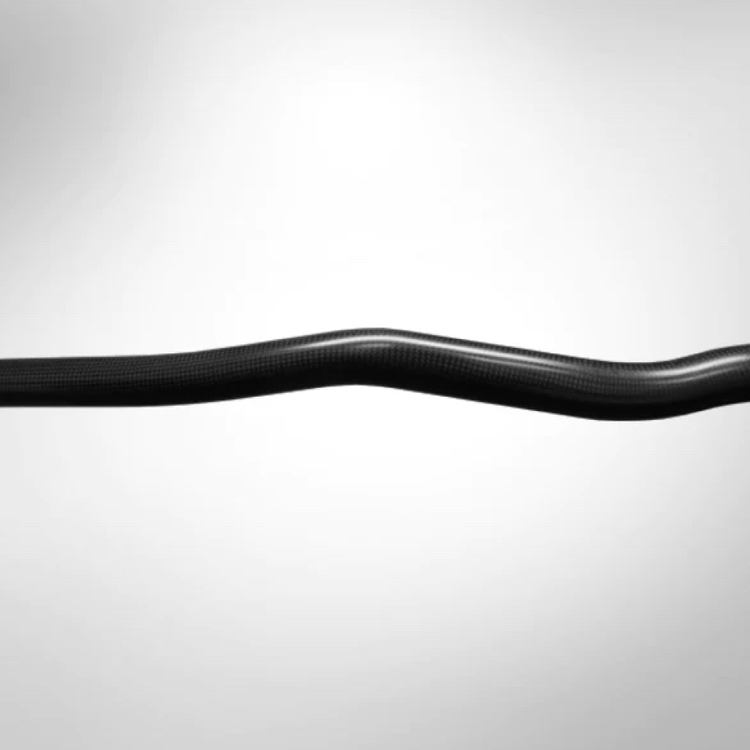 Werner Pagaie Sho-Gun Carbon