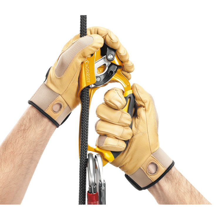 Petzl Ascendeur Ascension